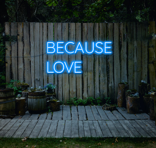 Because Love LED Neon Sign