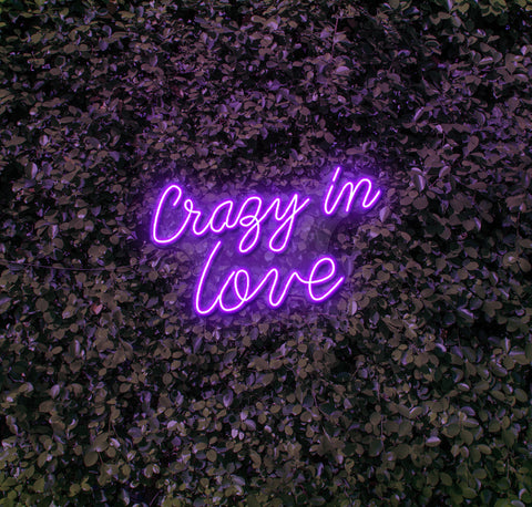 Crazy In Love LED Neon Sign