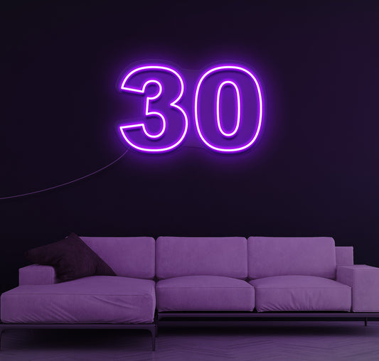 30 LED Neon Sign