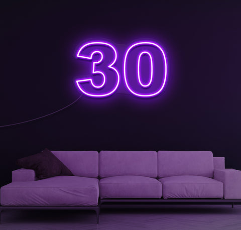 30 LED Neon Sign