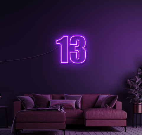 13 LED Neon Sign