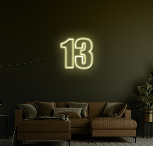 13 LED Neon Sign
