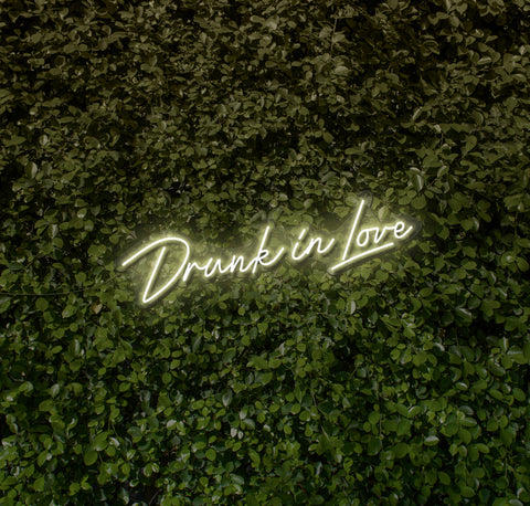 Drunk In Love LED Neon Sign