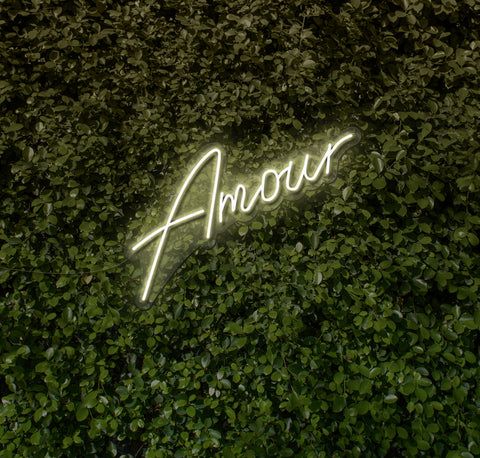 Amour LED Neon Sign