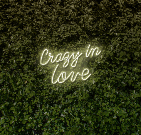 Crazy In Love LED Neon Sign