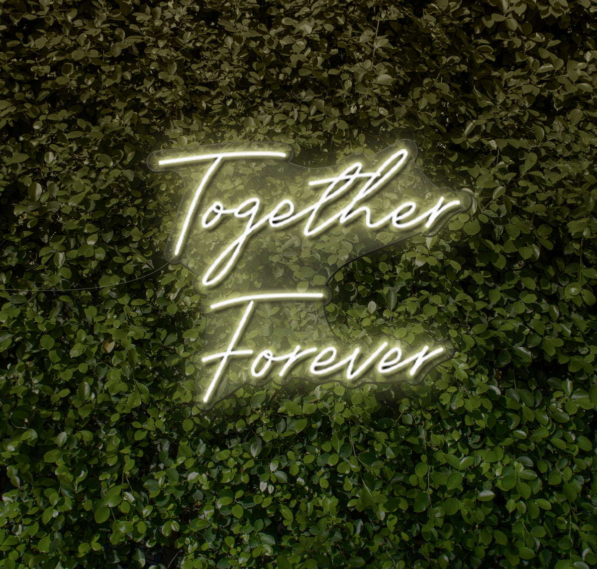 Together Forever LED Neon Sign