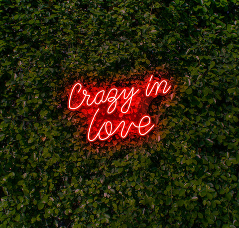 Crazy In Love LED Neon Sign