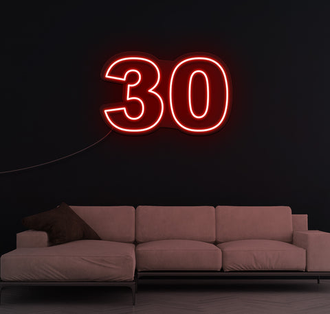 30 LED Neon Sign