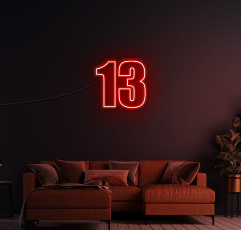 13 LED Neon Sign