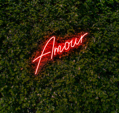 Amour LED Neon Sign