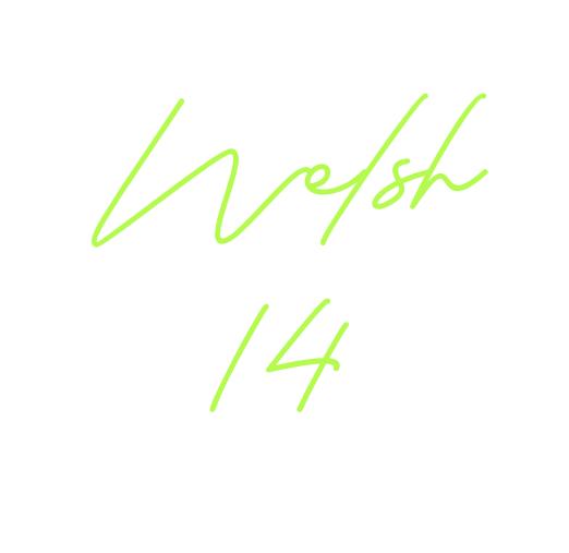 Custom Neon 21/03/2026 11:44
