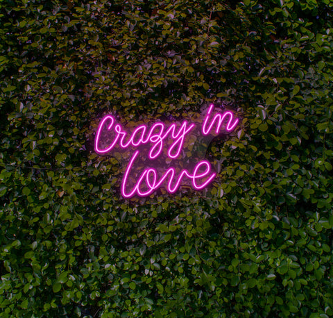 Crazy In Love LED Neon Sign