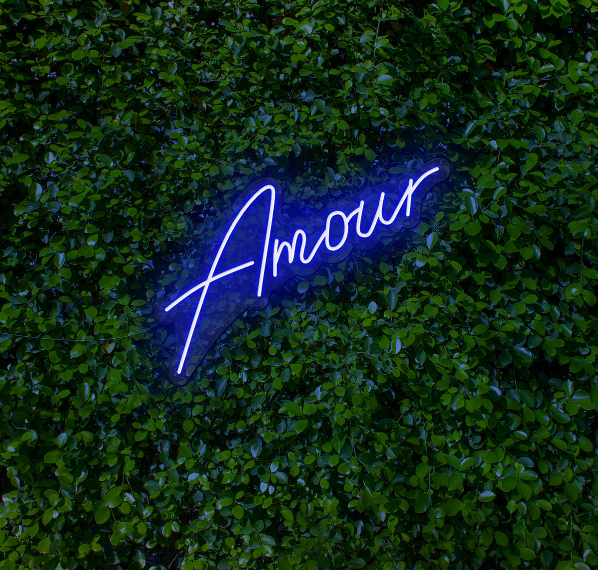 Amour LED Neon Sign