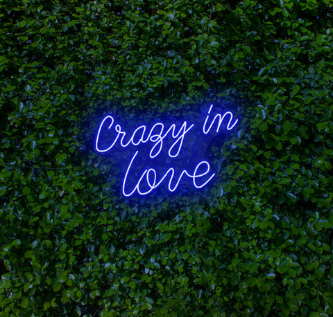 Crazy In Love LED Neon Sign