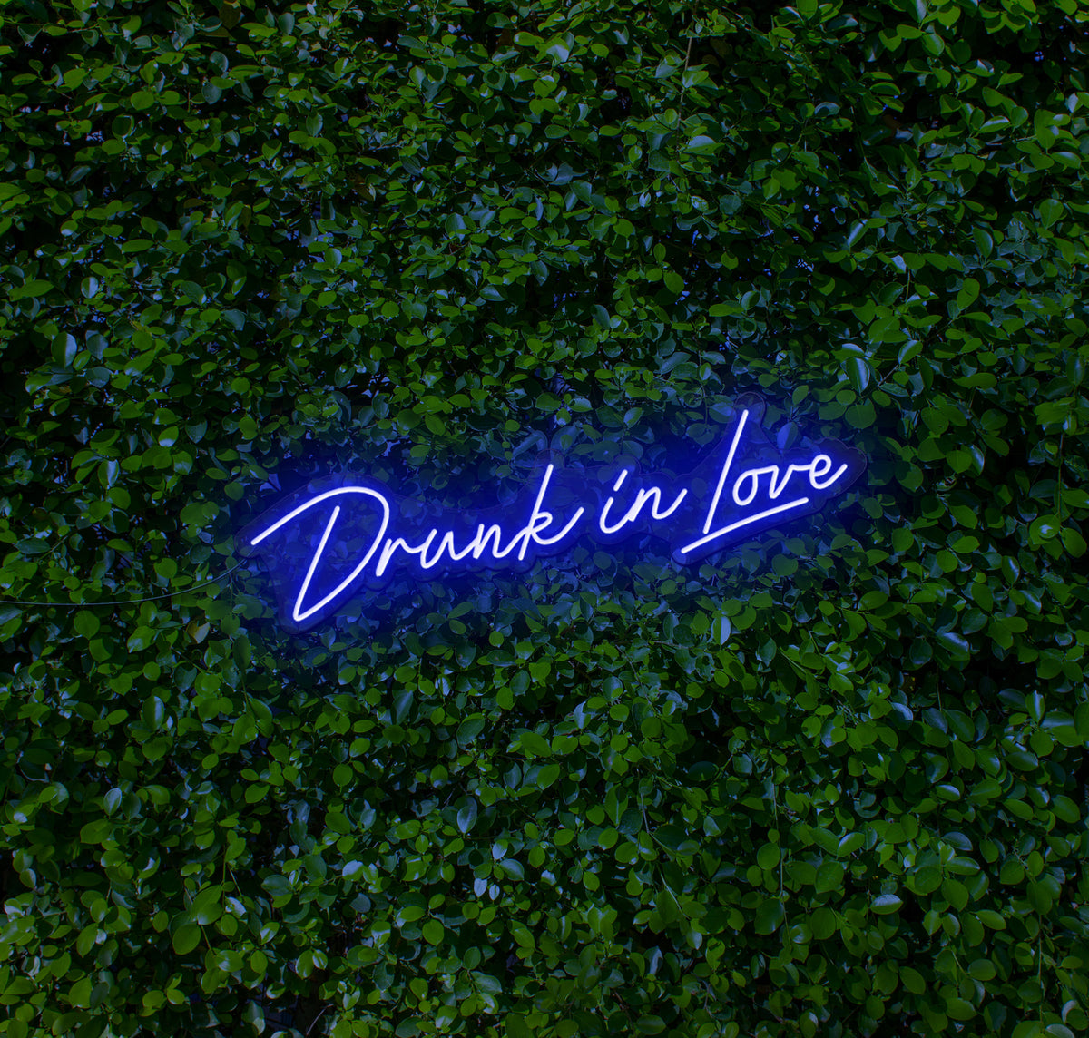 Drunk In Love LED Neon Sign