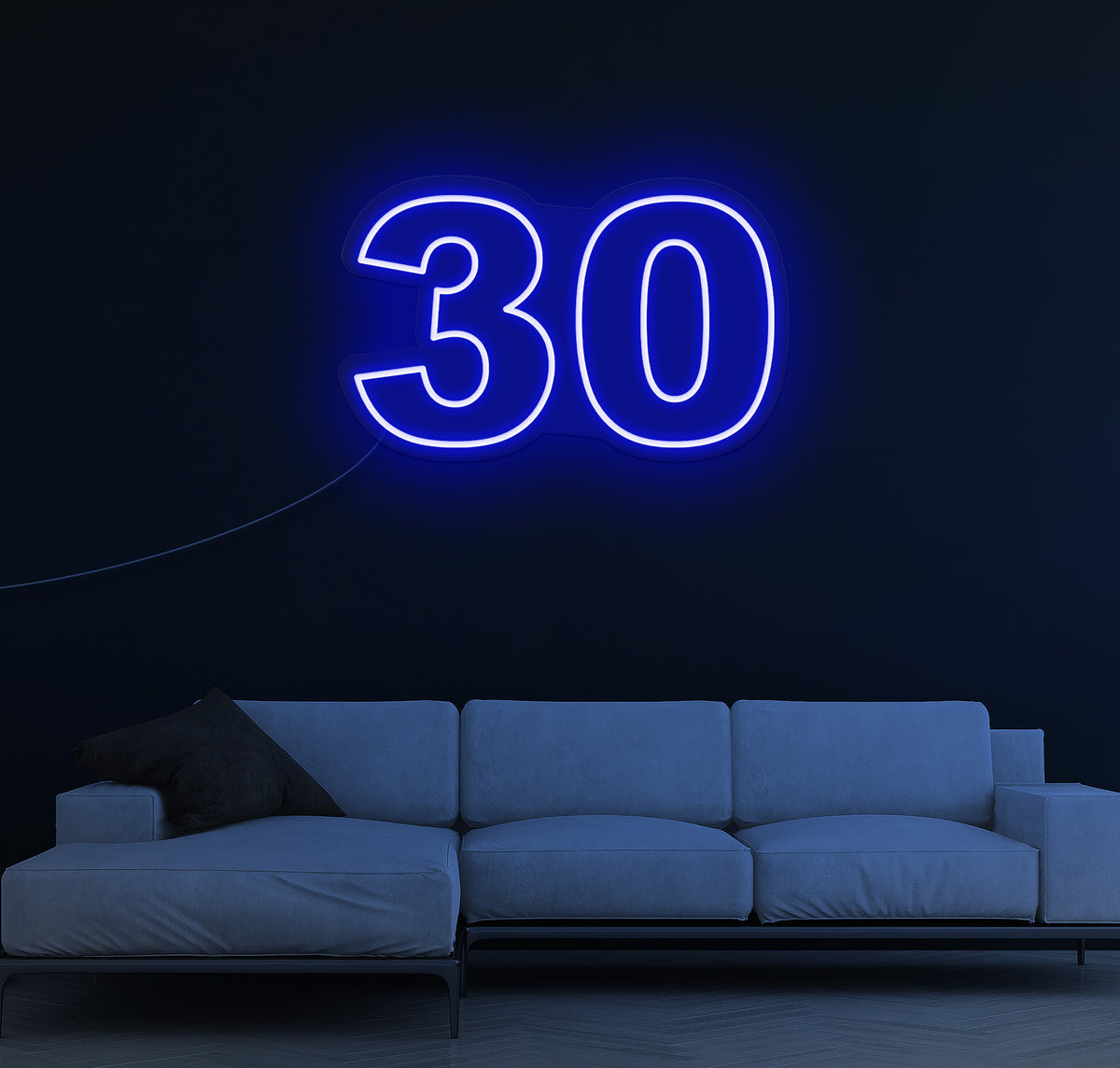 30 LED Neon Sign