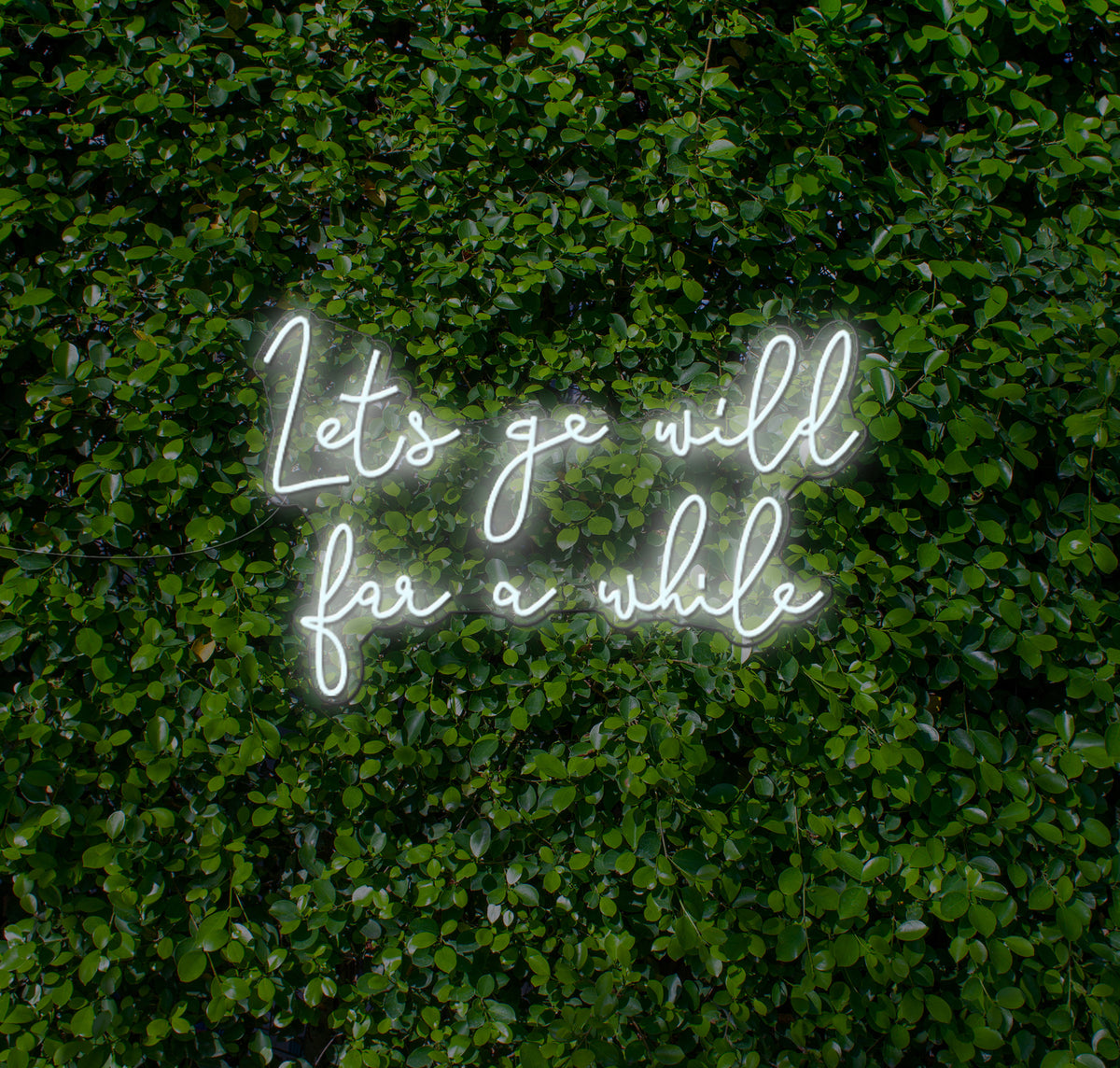 Lets Go Wild For A While LED Neon Sign
