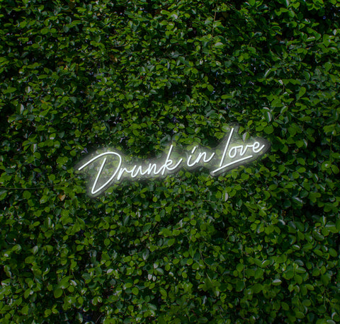 Drunk In Love LED Neon Sign