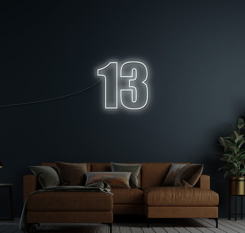 13 LED Neon Sign