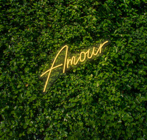 Amour LED Neon Sign