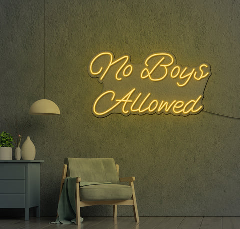 No Boys Allowed LED Neon Sign
