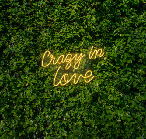 Crazy In Love LED Neon Sign