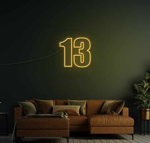 13 LED Neon Sign