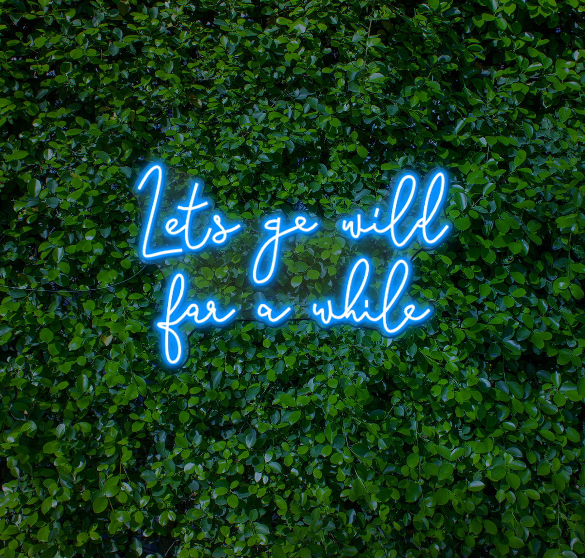 Lets Go Wild For A While LED Neon Sign