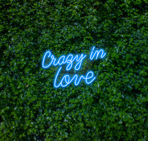 Crazy In Love LED Neon Sign