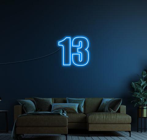 13 LED Neon Sign