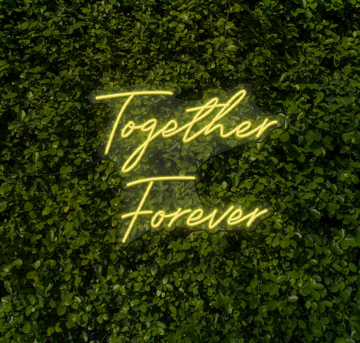 Together Forever LED Neon Sign