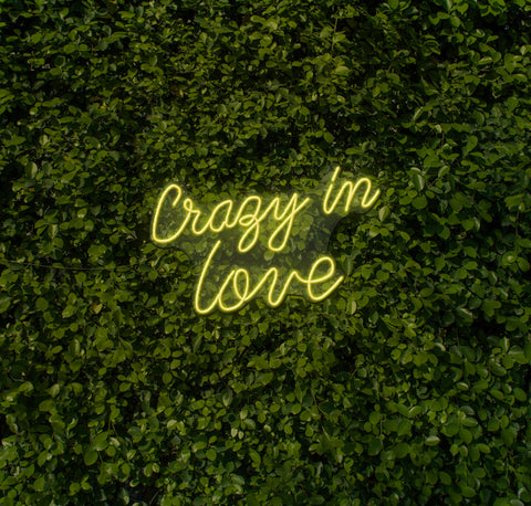 Crazy In Love LED Neon Sign