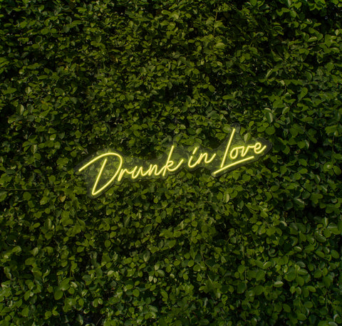 Drunk In Love LED Neon Sign