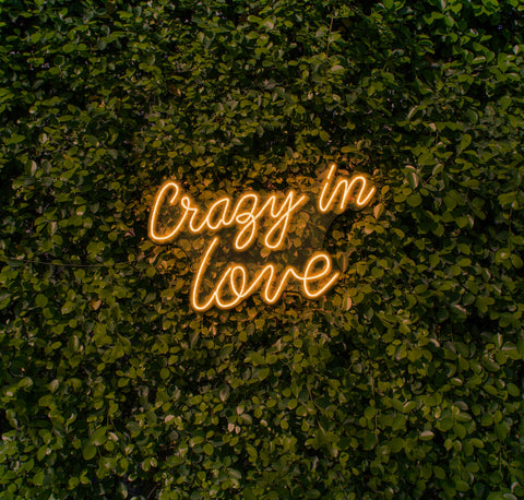 Crazy In Love LED Neon Sign