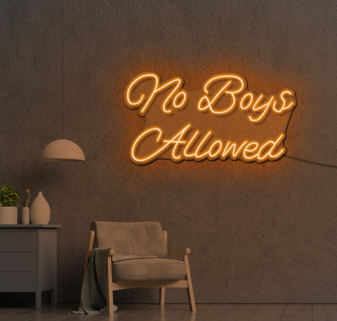 No Boys Allowed LED Neon Sign