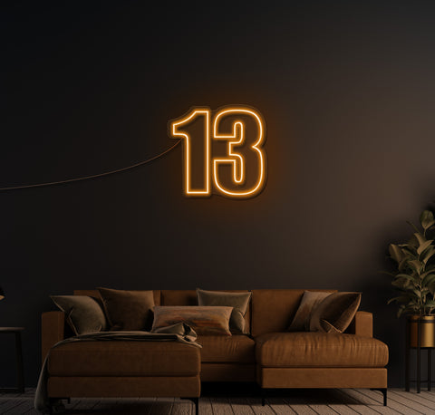 13 LED Neon Sign