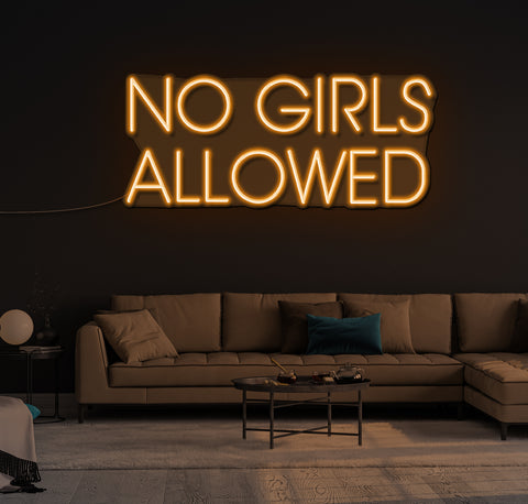 No Girls Allowed LED Neon Sign