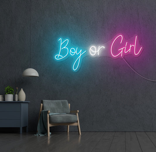 Boy Or Girl LED Neon Sign